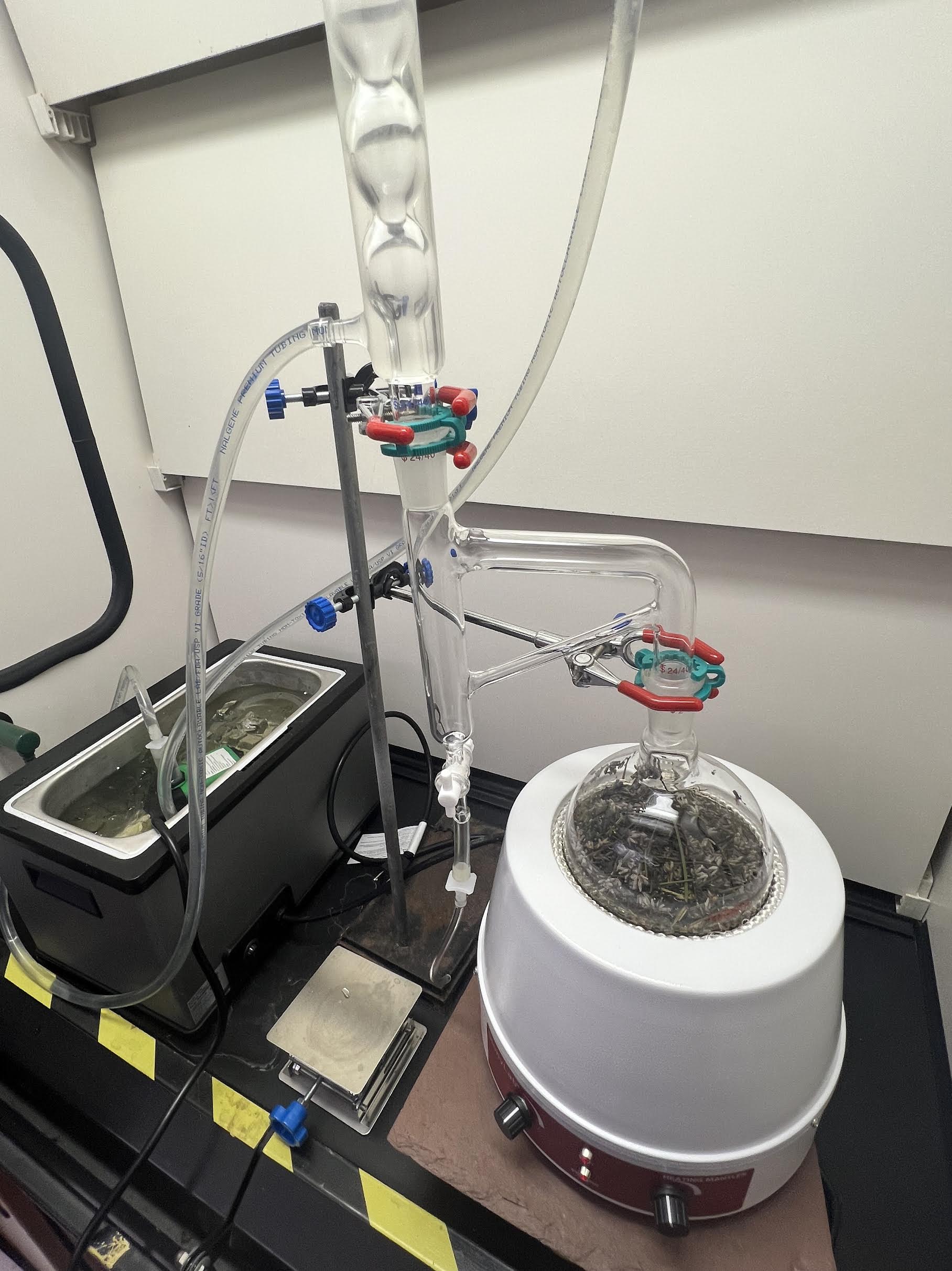 OriginalImage,,,Original