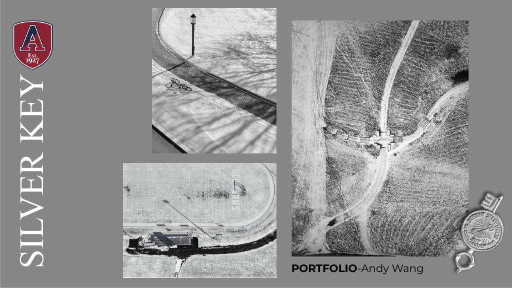 OriginalImage,,,Original