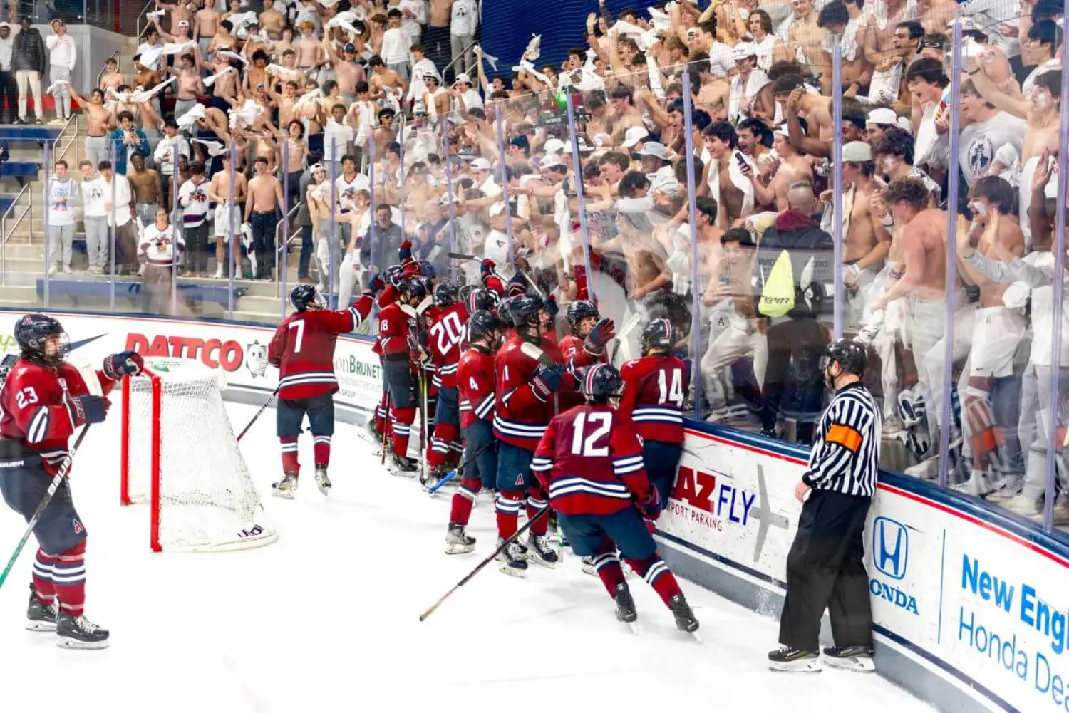 AOF varsity hockey team with cheering supporters.