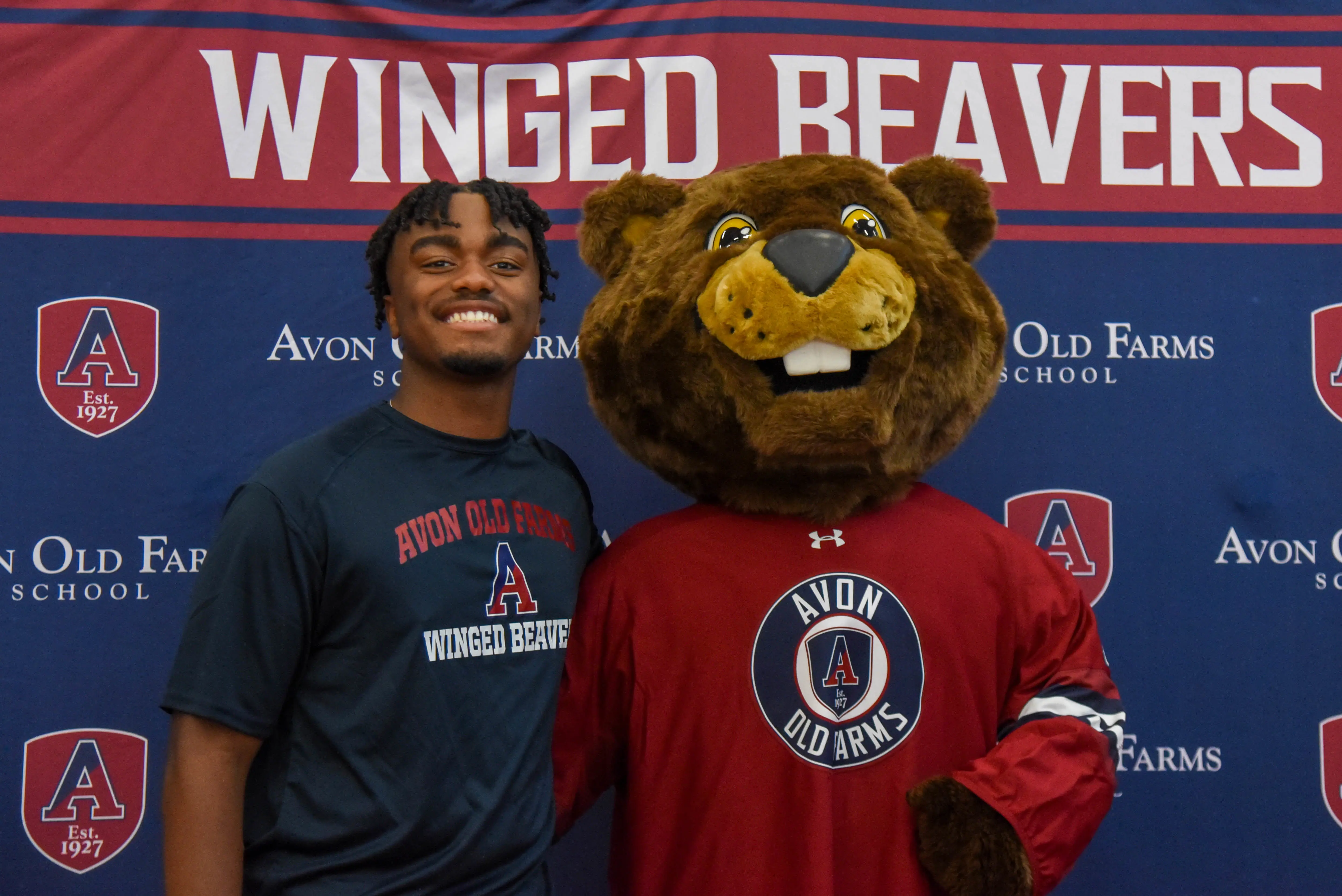 OptimizedImage,Optimized