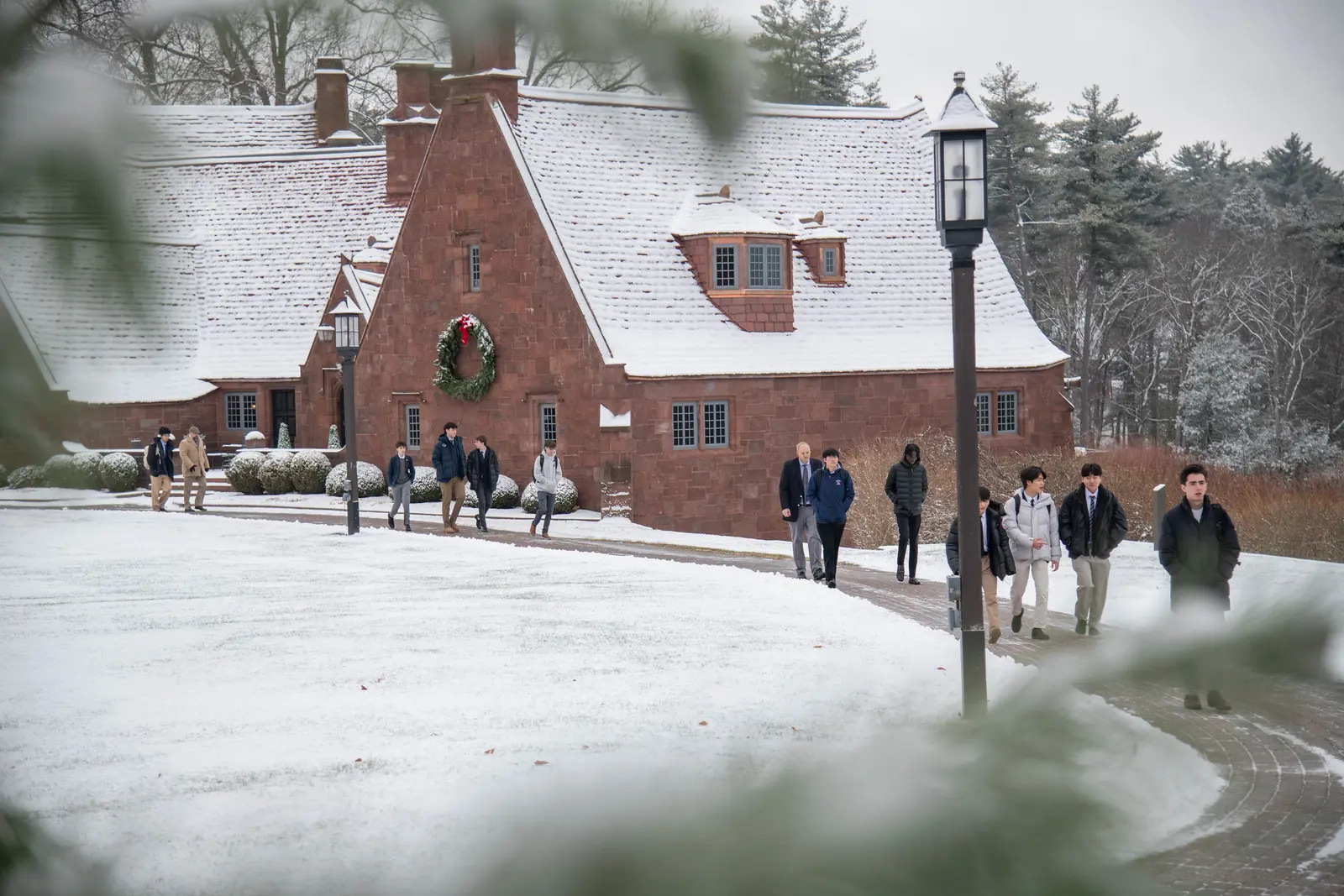  OptimizedImage,Optimized