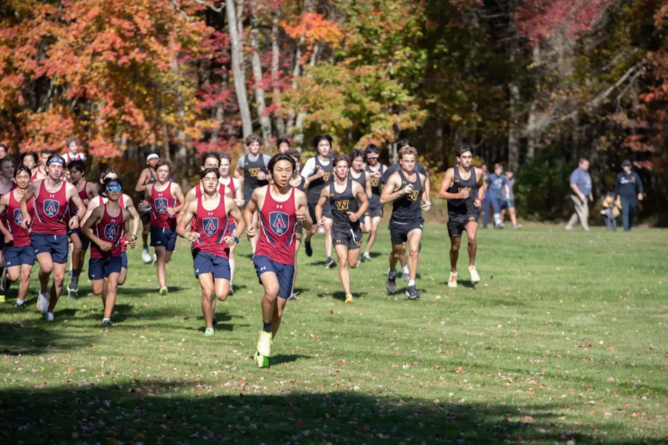 Avon Old Farms cross country team running.
