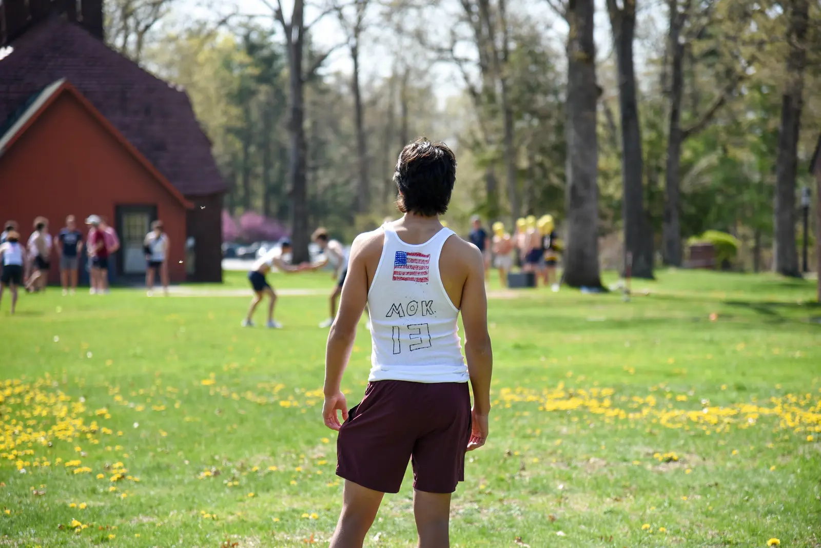  OptimizedImage,Optimized