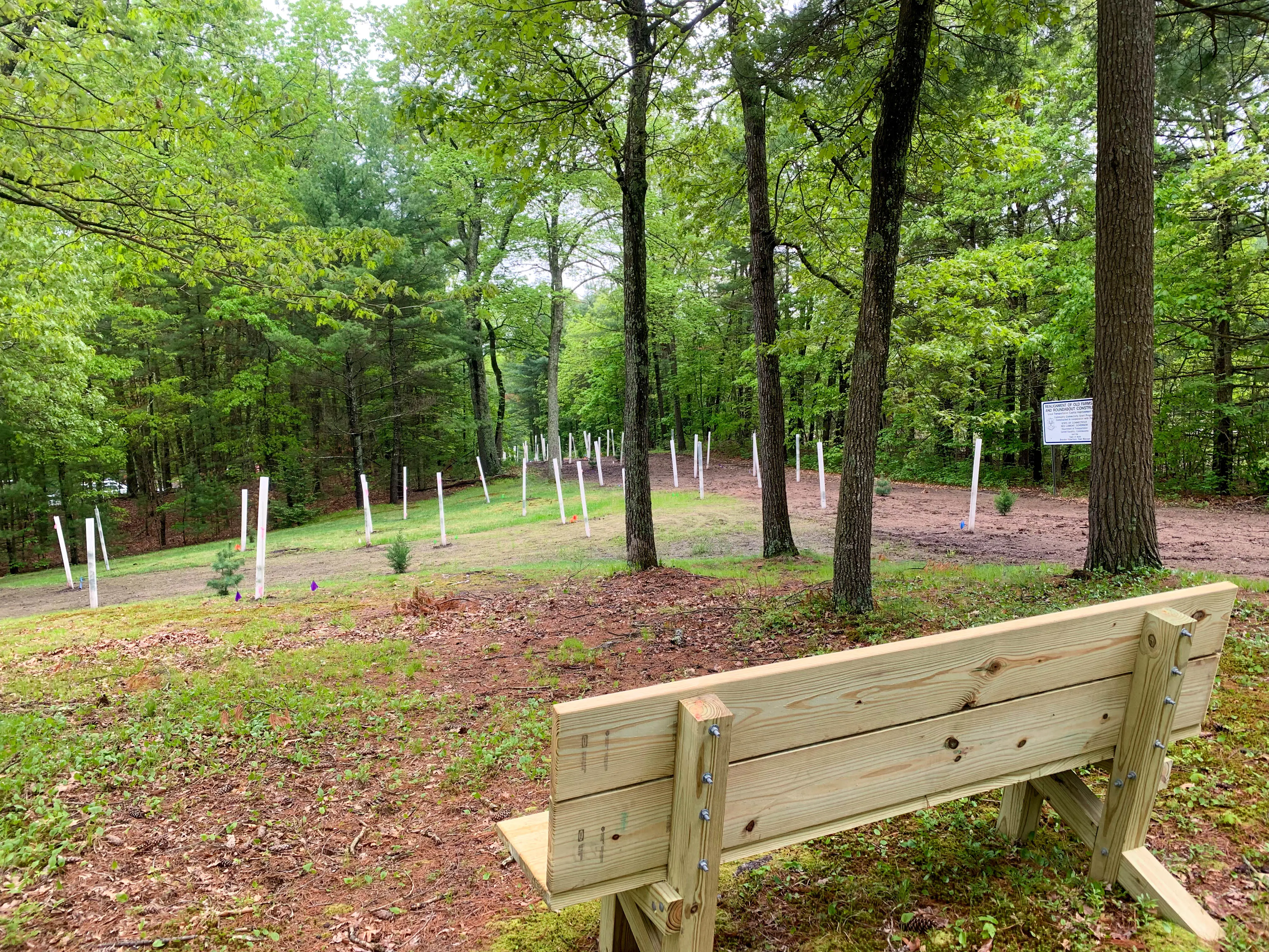  OptimizedImage,Optimized