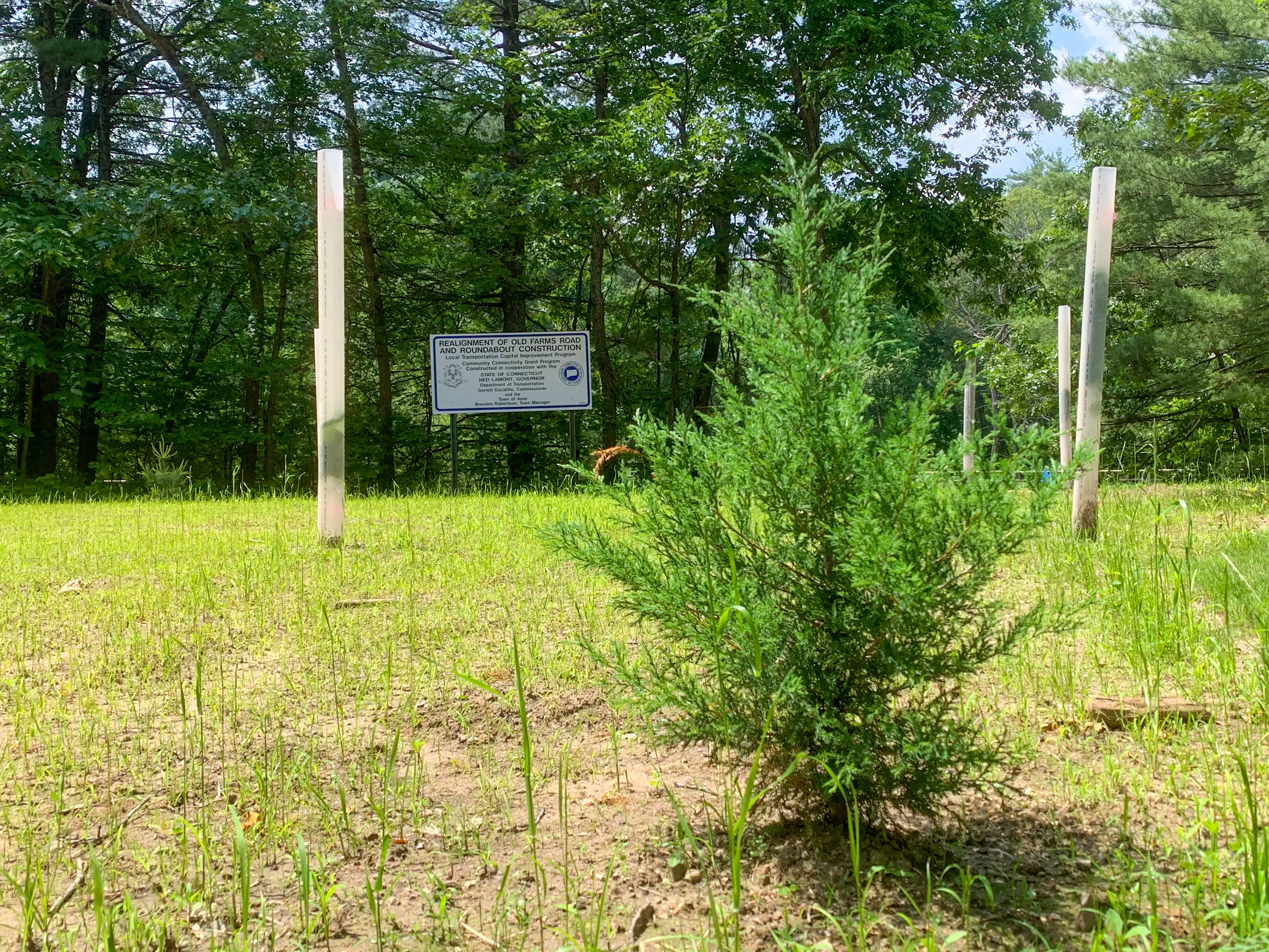  OptimizedImage,Optimized