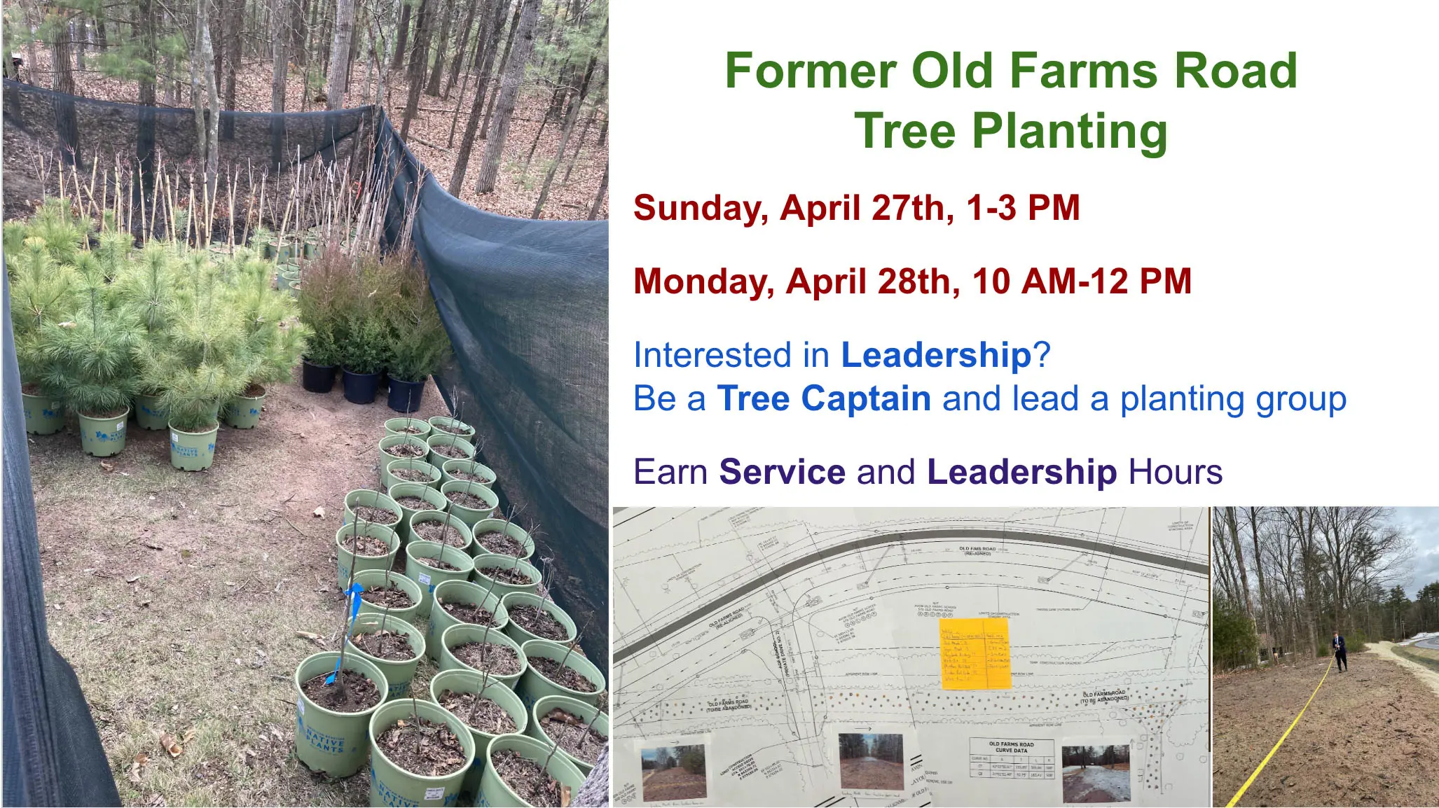  OptimizedImage,Optimized