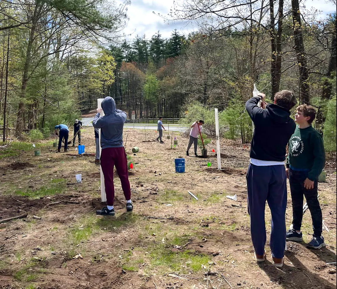  OptimizedImage,Optimized