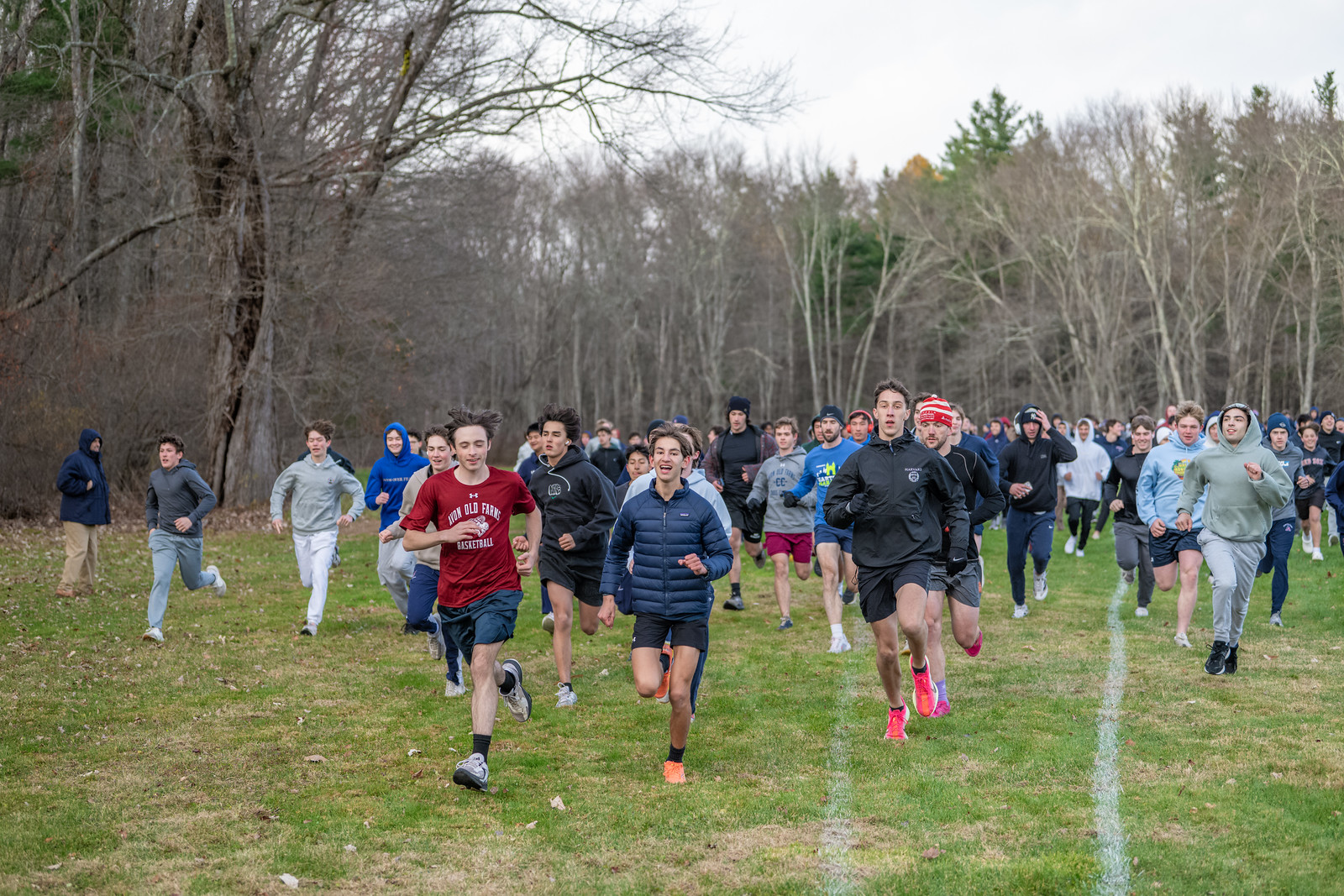 OriginalImage,,,Original