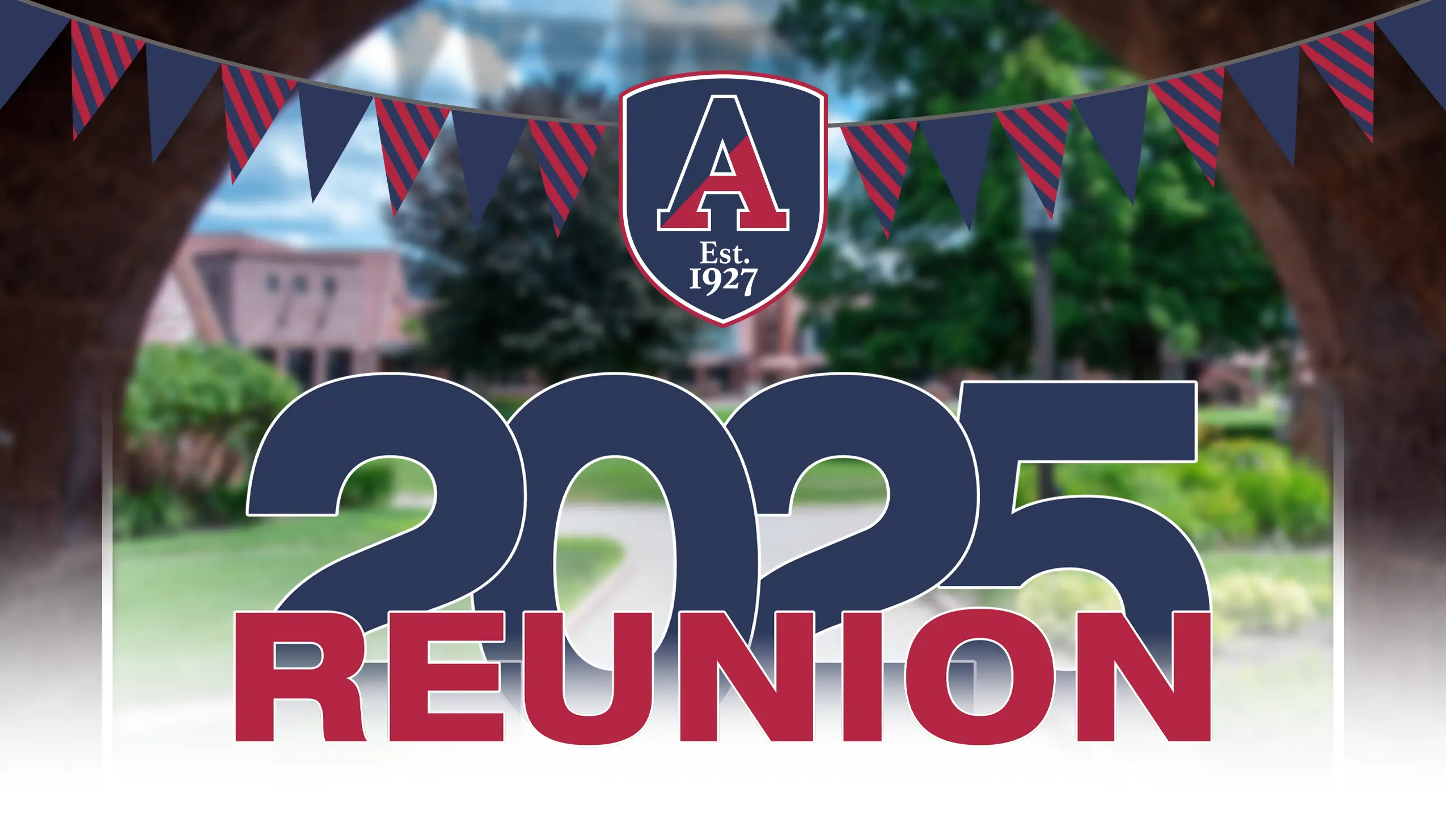  OptimizedImage,Optimized