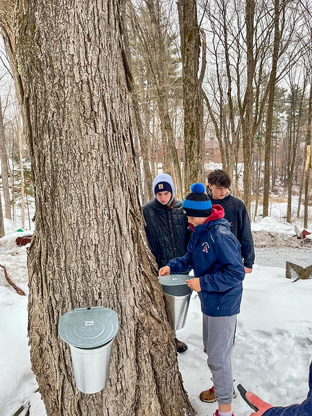 OriginalImage,,,Original