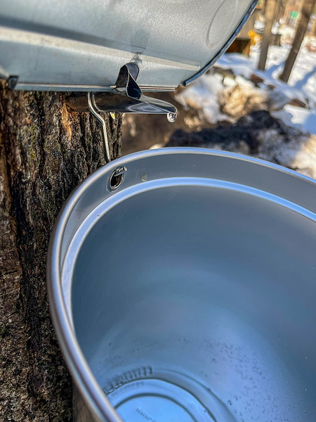 OriginalImage,,,Original