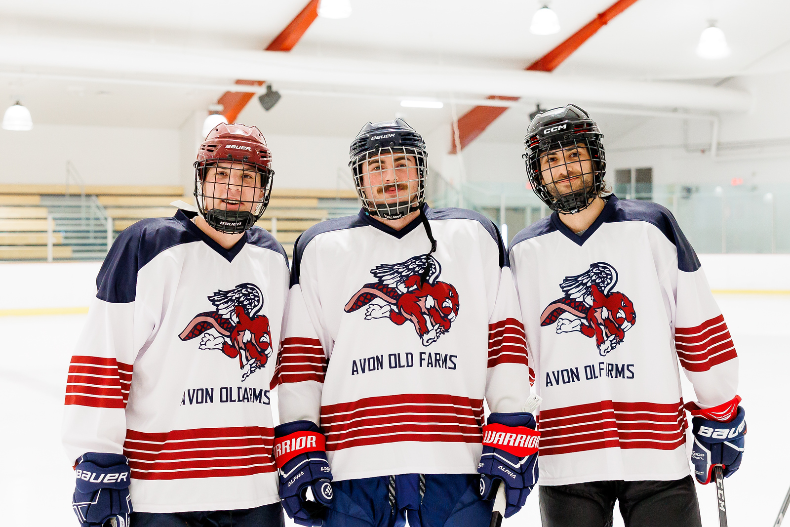 OriginalImage,,,Original