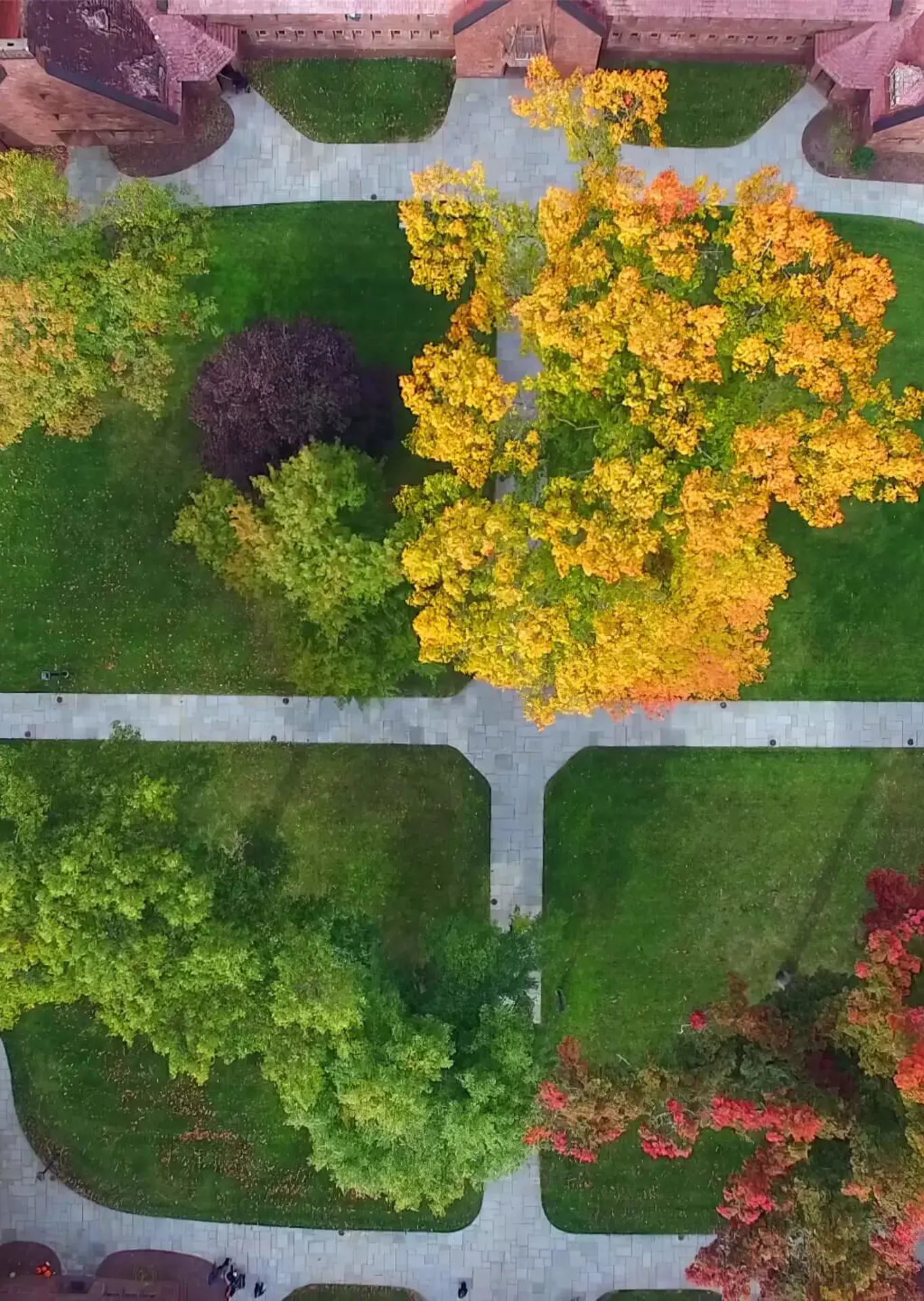 Avon Old Farms, aerial of quad in fall