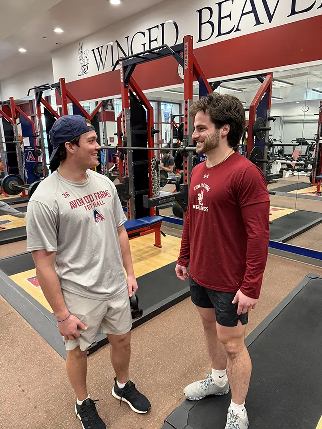  OptimizedImage,,,Optimized