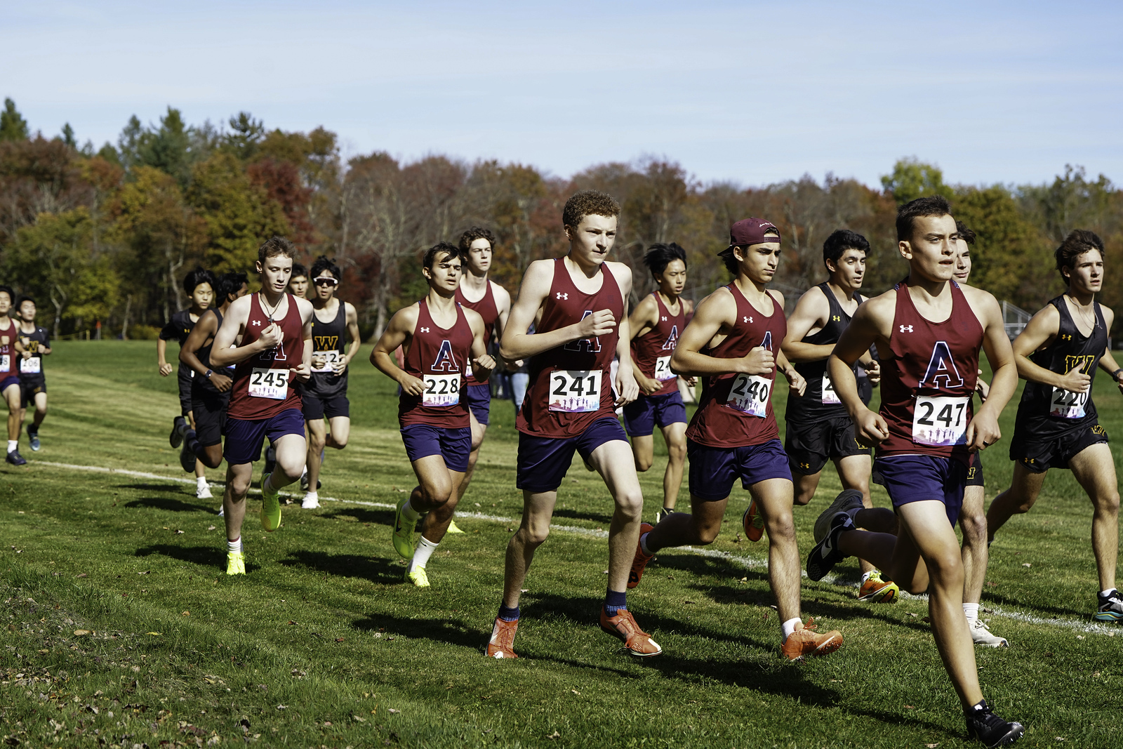 OriginalImage,,,Original