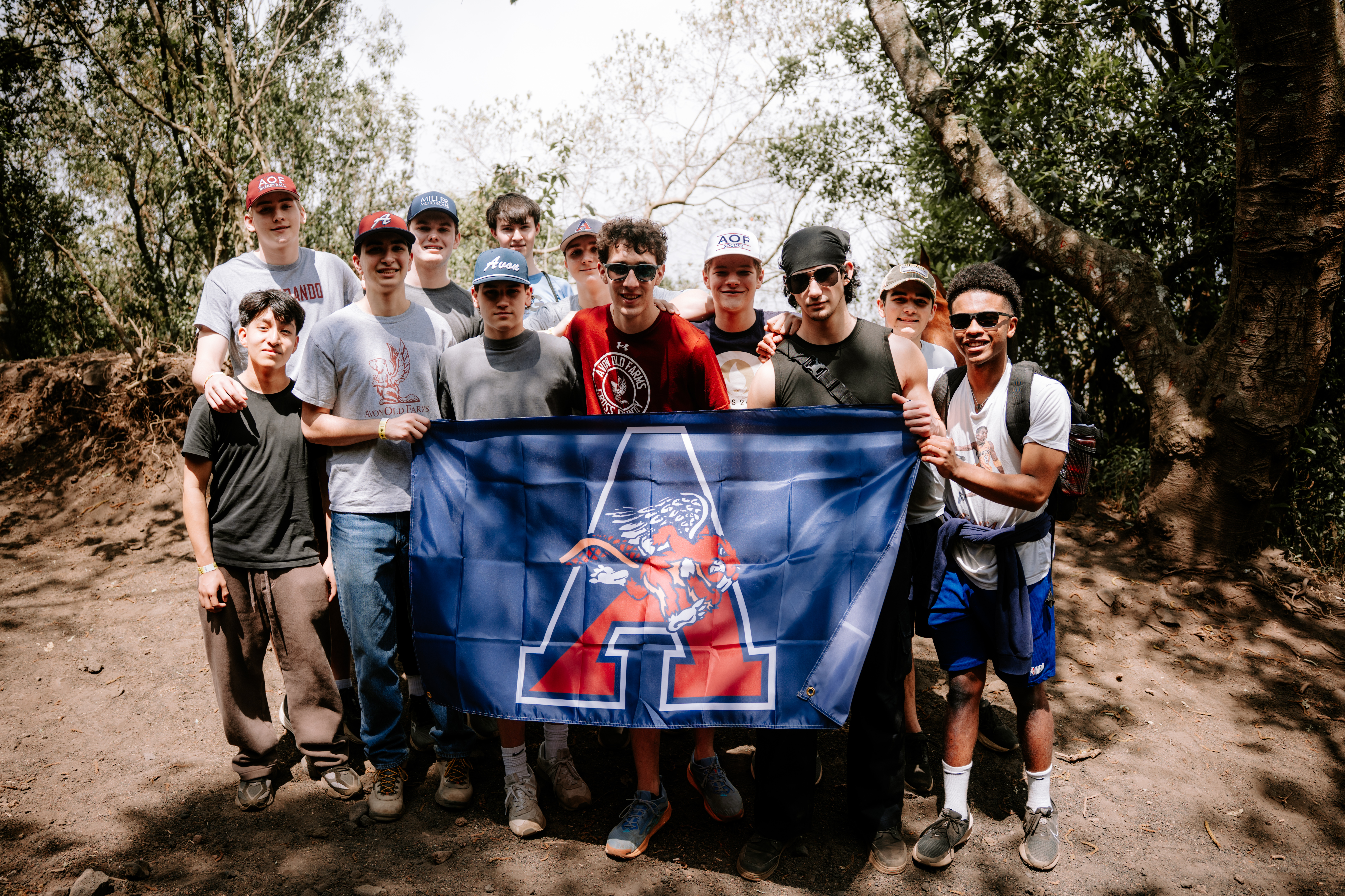 OriginalImage,,,Original