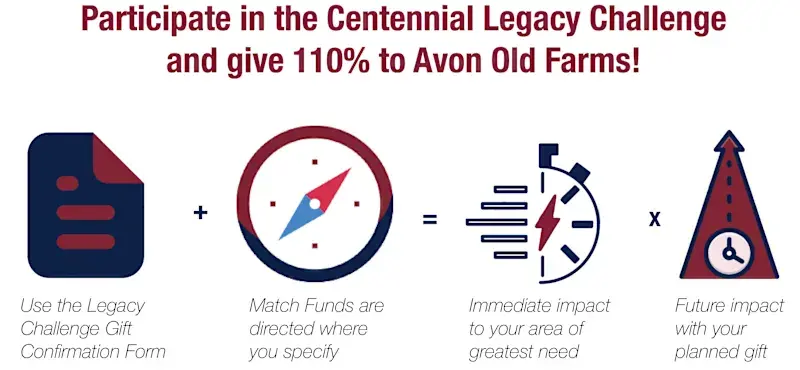  OptimizedImage,Optimized