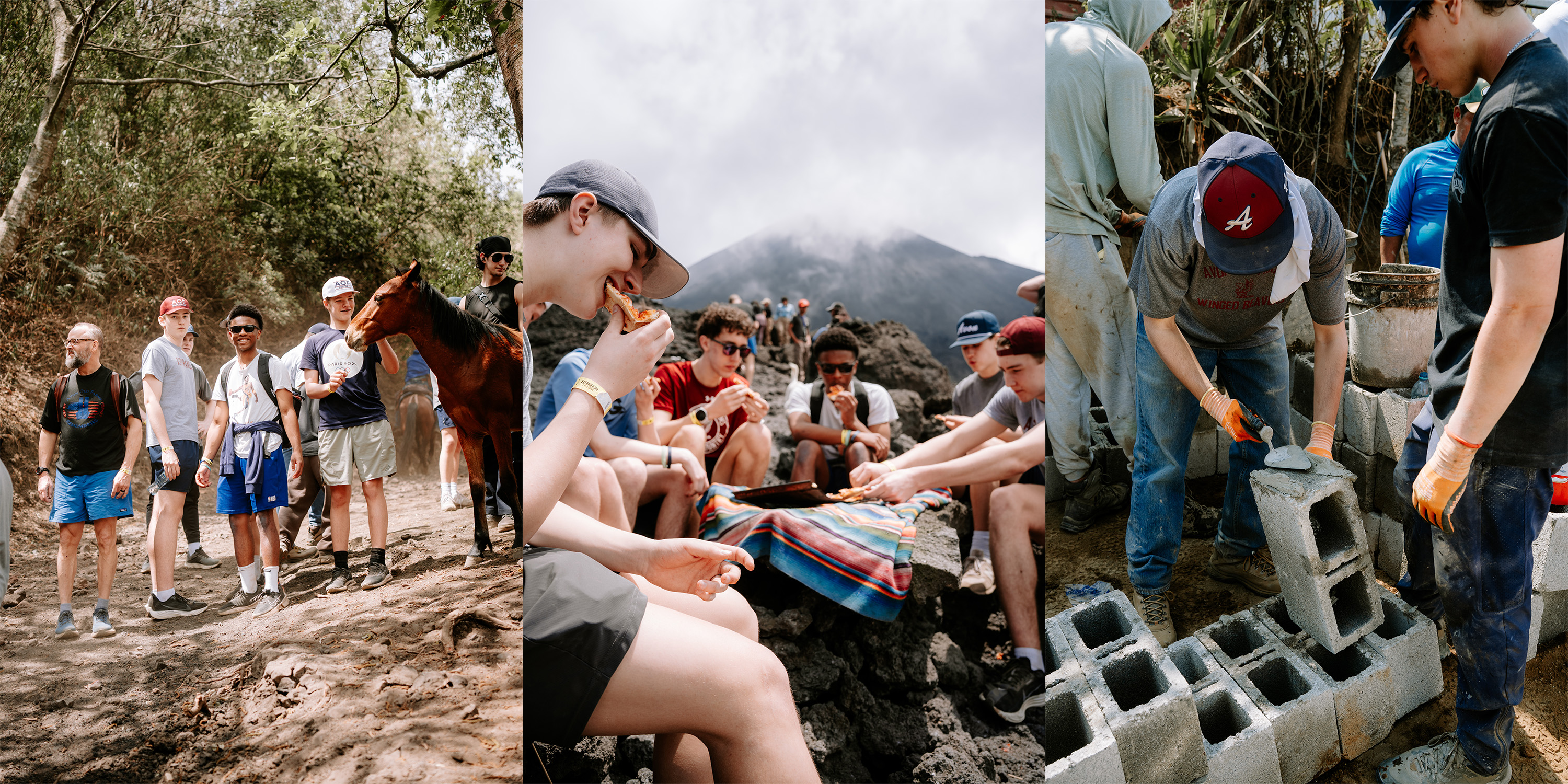 OriginalImage,,,Original