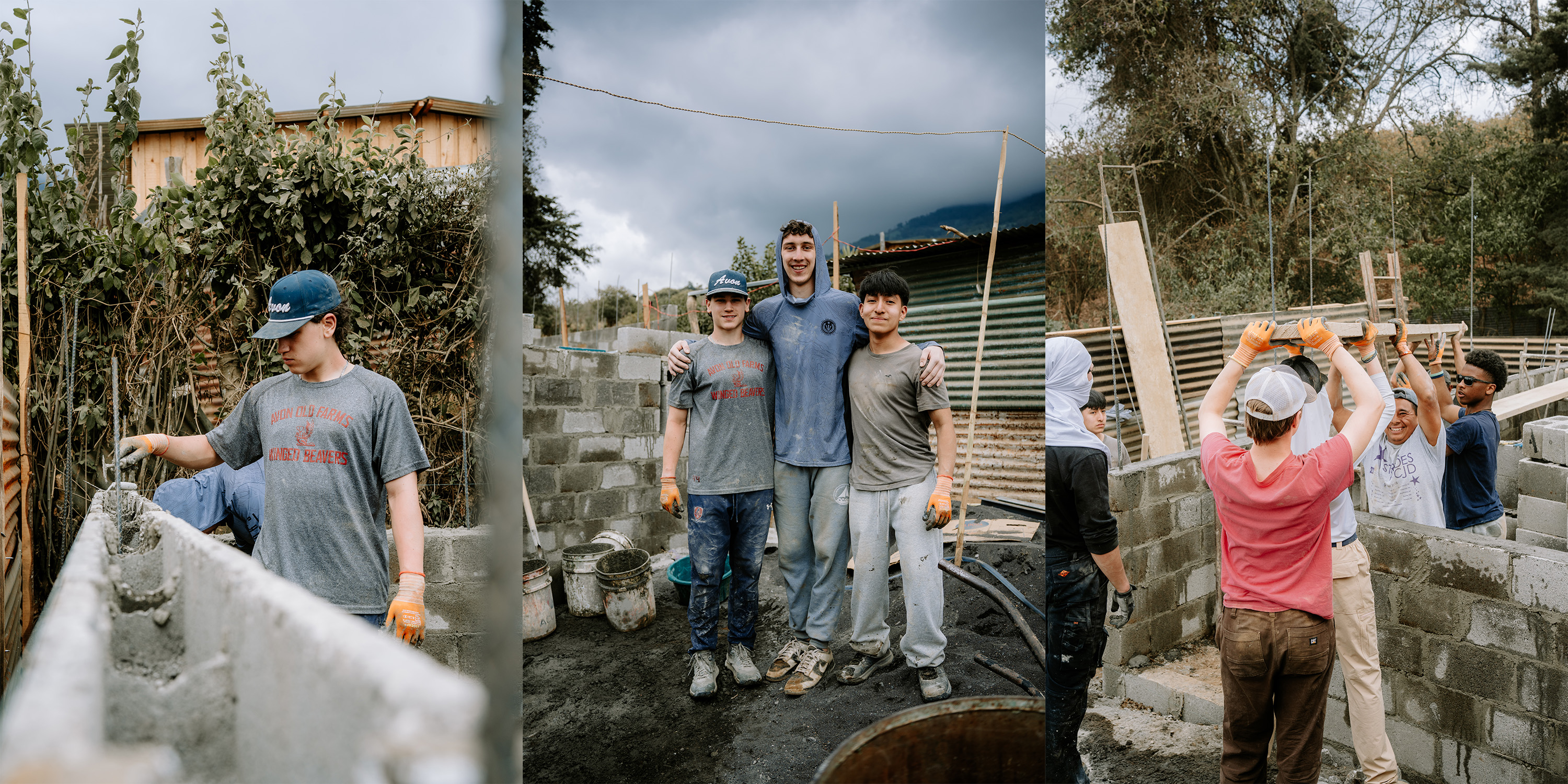 OriginalImage,,,Original