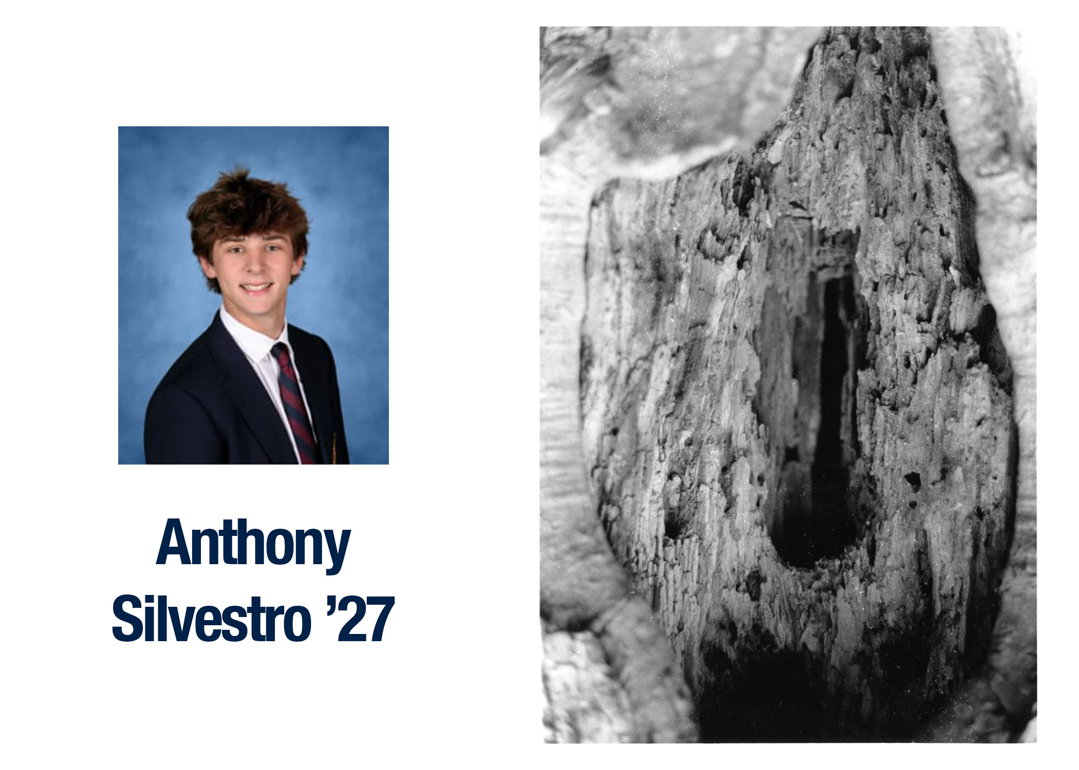 OriginalImage,,,Original