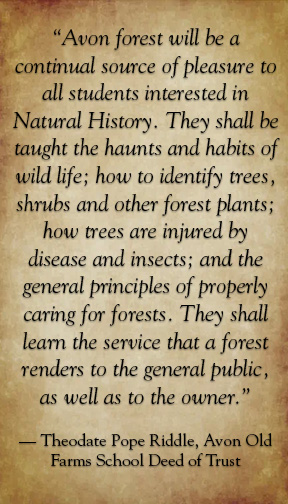 OriginalImage,,,Original