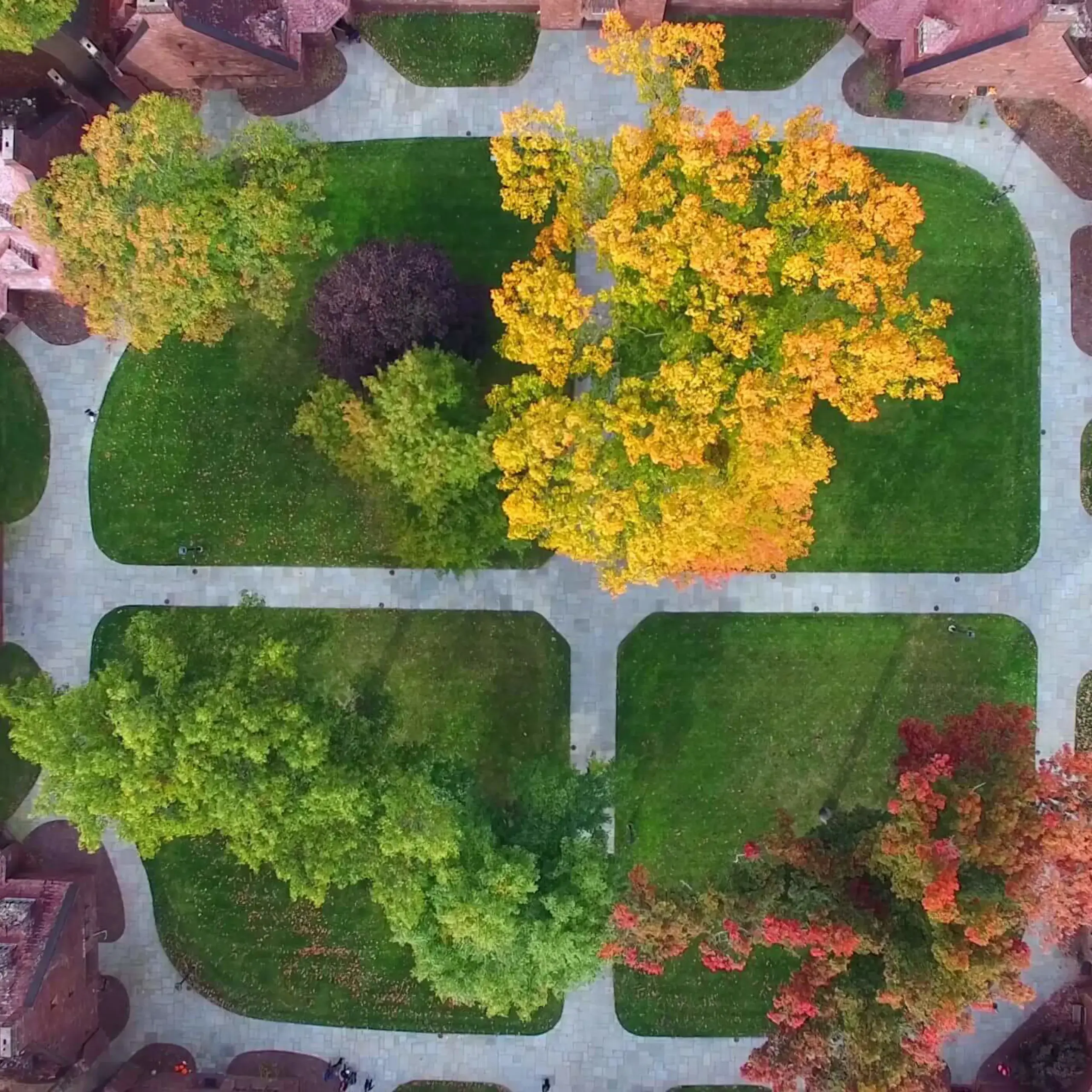 Avon Old Farms Aerial view of quad