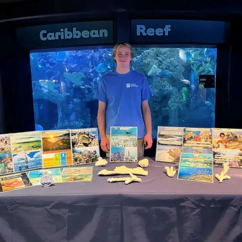 Working and Learning at Mystic Aquarium