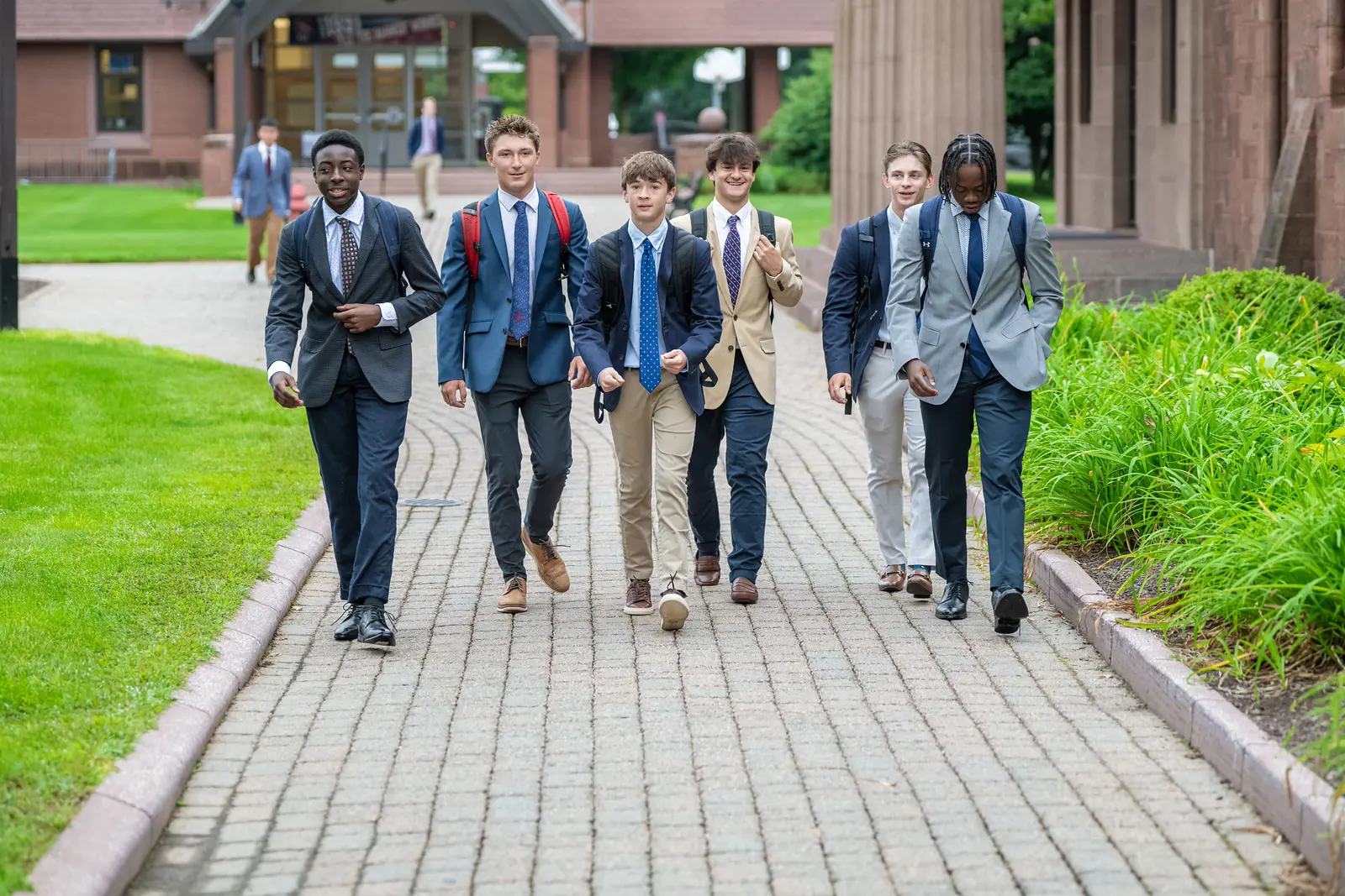  OptimizedImage,Optimized