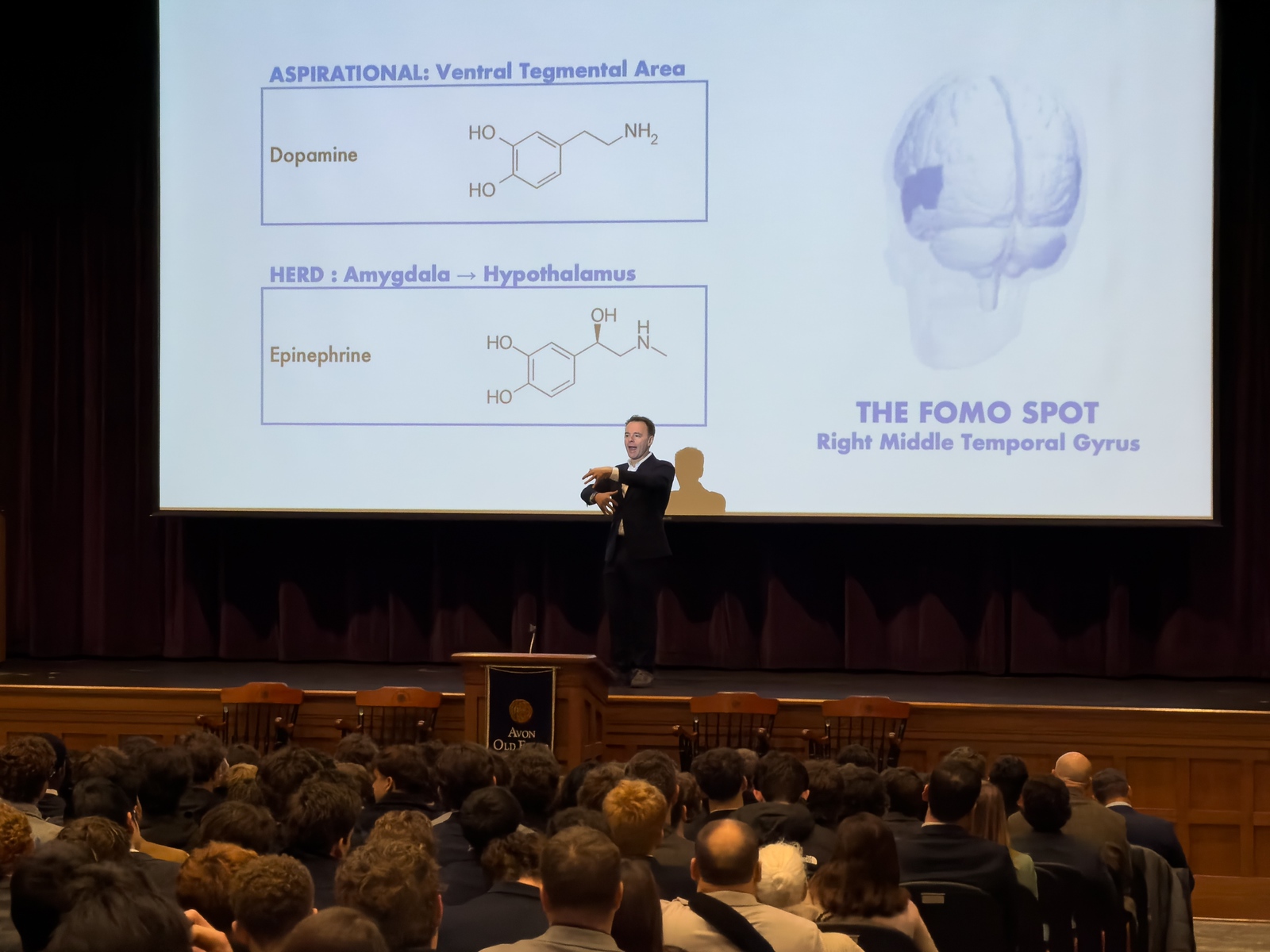 OriginalImage,,,Original