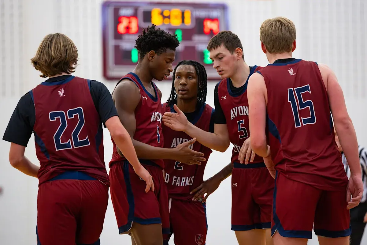  OptimizedImage,Optimized