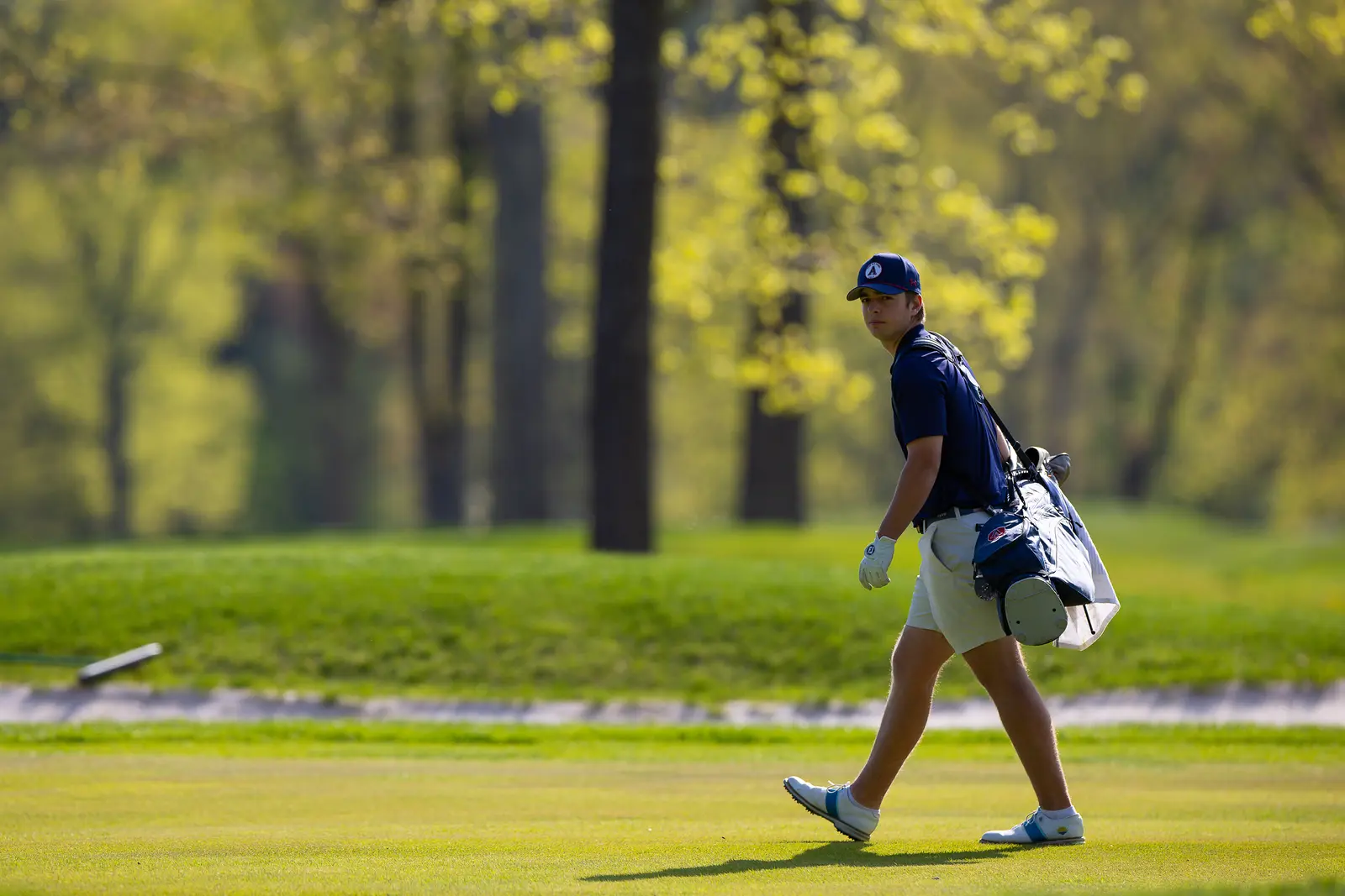  OptimizedImage,Optimized