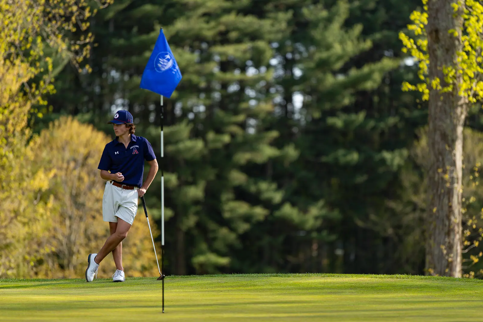  OptimizedImage,Optimized