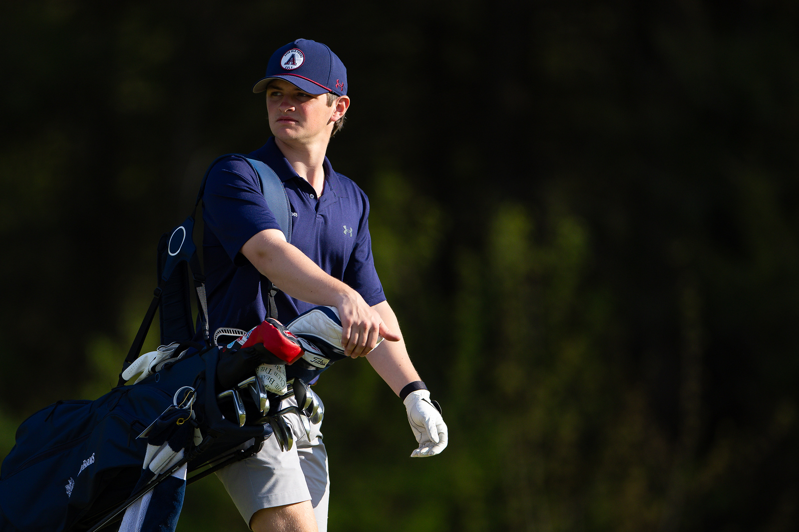 OriginalImage,,,Original