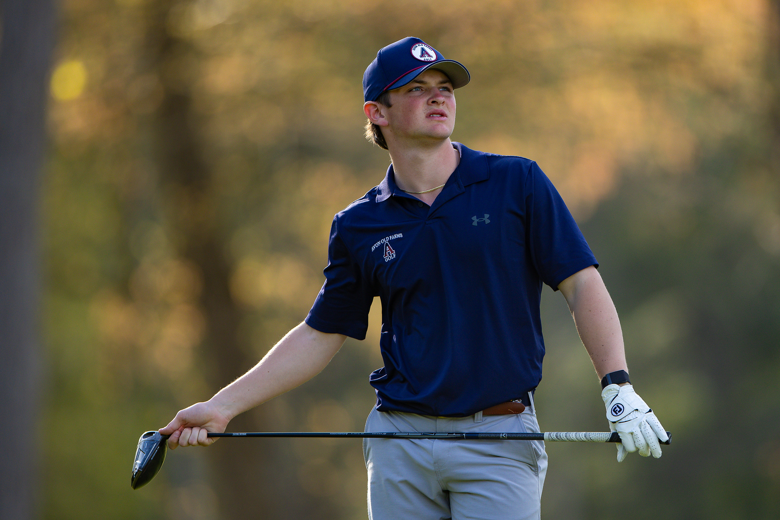 OriginalImage,,,Original