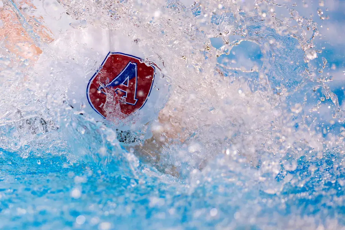  OptimizedImage,Optimized