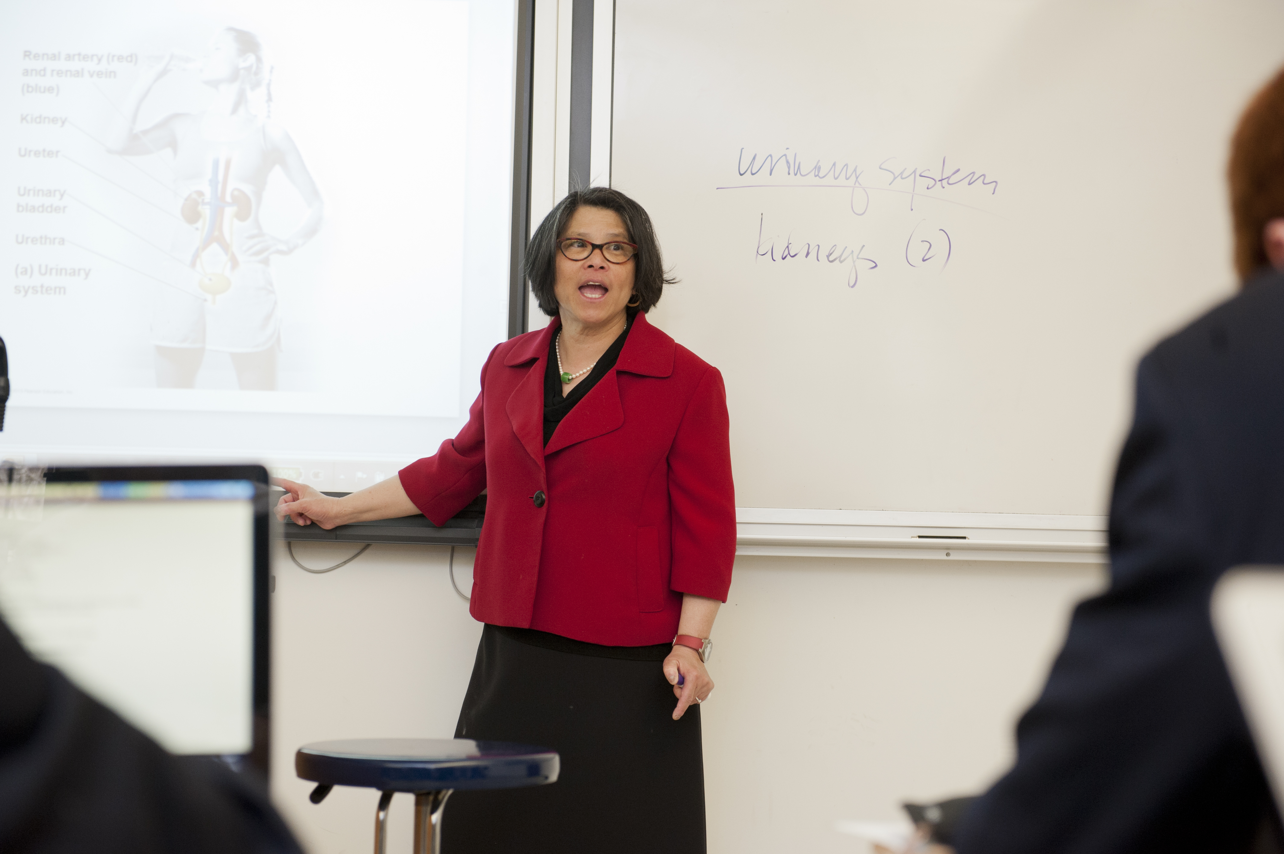 OriginalImage,,,Original