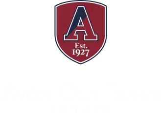  OptimizedImage,branding,Optimized